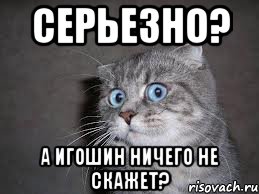 серьезно? а игошин ничего не скажет?, Мем  удивлённый кот