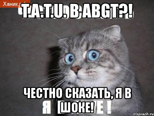 t.a.t.u. в abgt?! честно сказать, я в шоке!, Мем  удивлённый кот