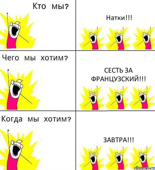 Натки!!! Сесть за французский!!! Завтра!!!, Комикс Что мы хотим