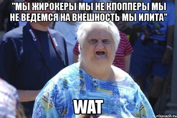 "мы жирокеры мы не кпопперы мы не ведемся на внешность мы илита" wat, Мем Шта (Бабка wat)