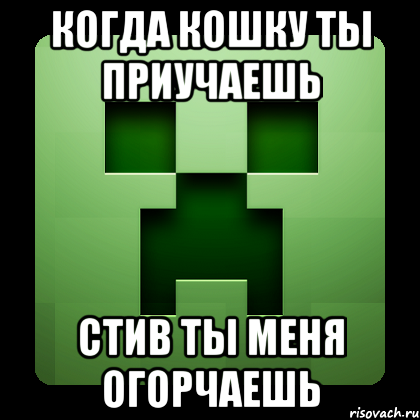 когда кошку ты приучаешь стив ты меня огорчаешь, Мем Creeper