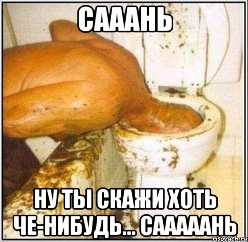 сааань ну ты скажи хоть че-нибудь... сааааань, Мем Дайвер