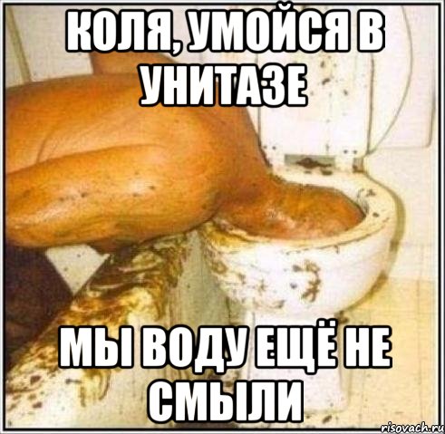 коля, умойся в унитазе мы воду ещё не смыли, Мем Дайвер