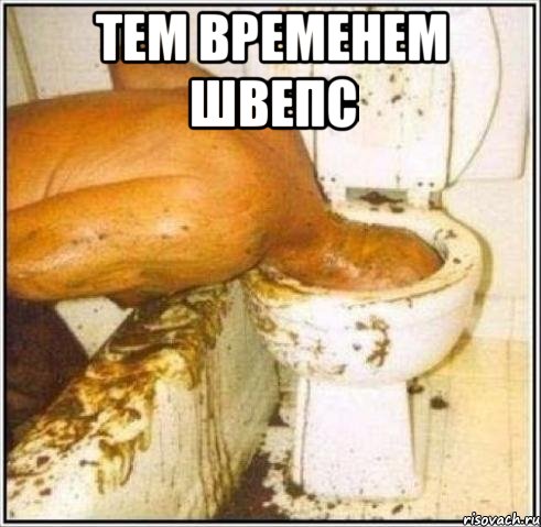 тем временем швепс , Мем Дайвер