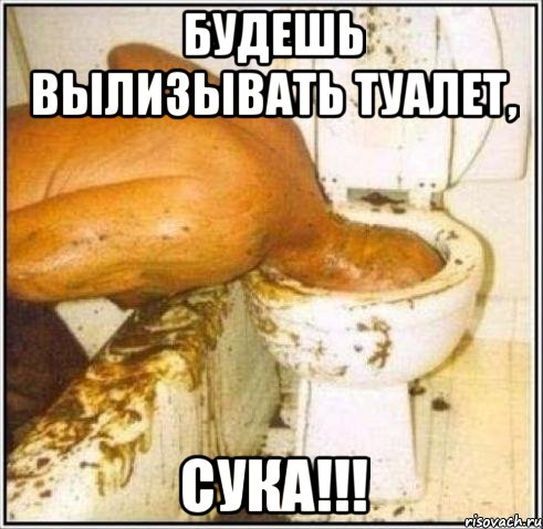 будешь вылизывать туалет, сука!!!, Мем Дайвер