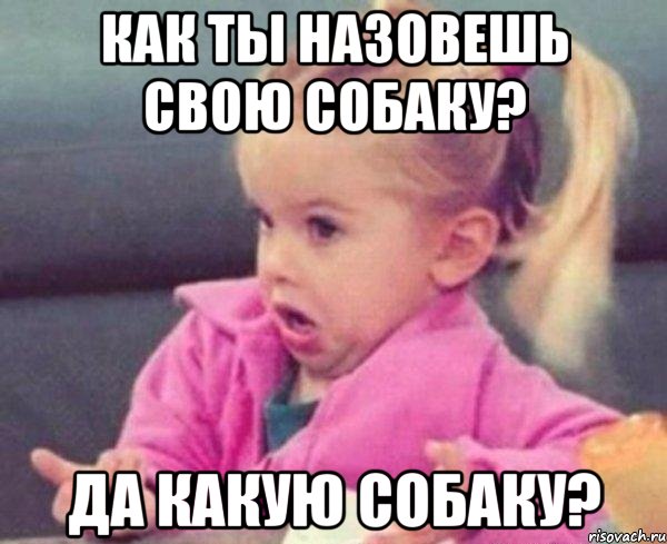 как ты назовешь свою собаку? да какую собаку?, Мем  Ты говоришь (девочка возмущается)