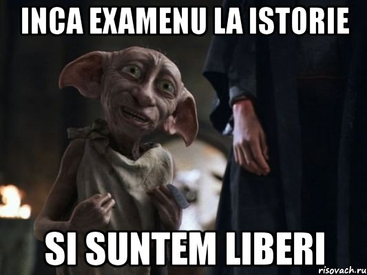 inca examenu la istorie si suntem liberi, Мем   Добби