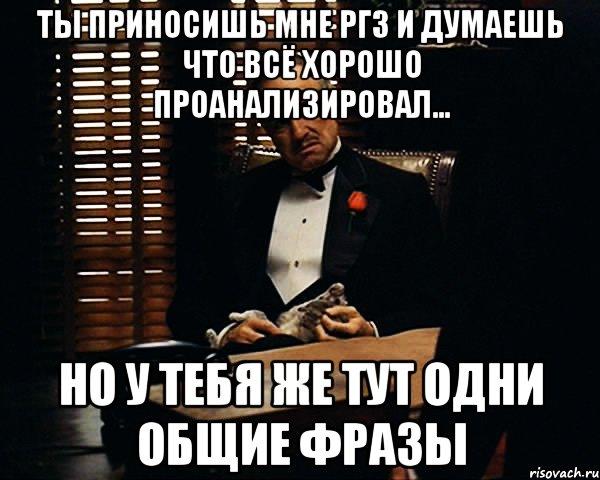 ты приносишь мне ргз и думаешь что всё хорошо проанализировал... но у тебя же тут одни общие фразы, Мем Дон Вито Корлеоне