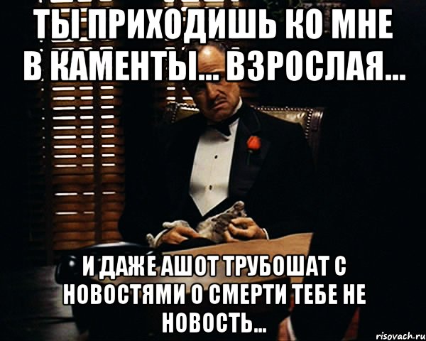 ты приходишь ко мне в каменты... взрослая... и даже ашот трубошат с новостями о смерти тебе не новость..., Мем Дон Вито Корлеоне