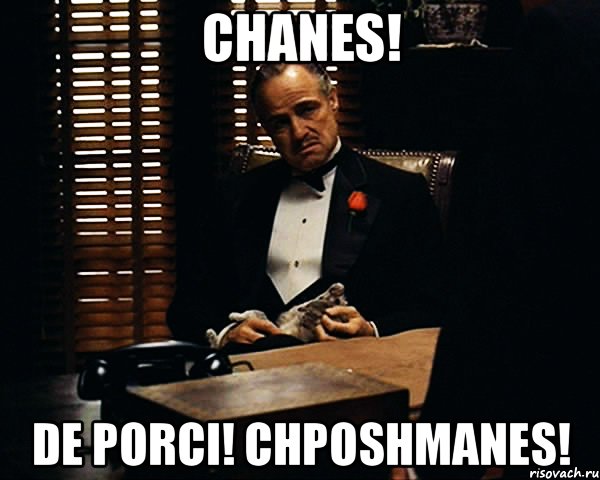 chanes! de porci! chposhmanes!, Мем Дон Вито Корлеоне