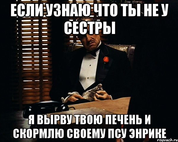 если узнаю что ты не у сестры я вырву твою печень и скормлю своему псу энрике, Мем Дон Вито Корлеоне