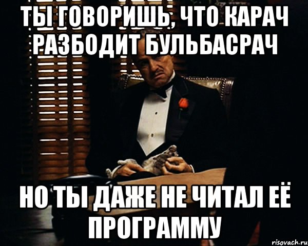 ты говоришь, что карач разбодит бульбасрач но ты даже не читал её программу, Мем Дон Вито Корлеоне