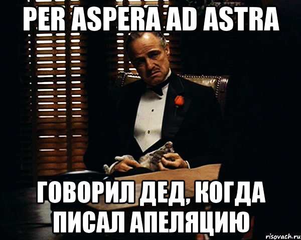 per aspera ad astra говорил дед, когда писал апеляцию, Мем Дон Вито Корлеоне