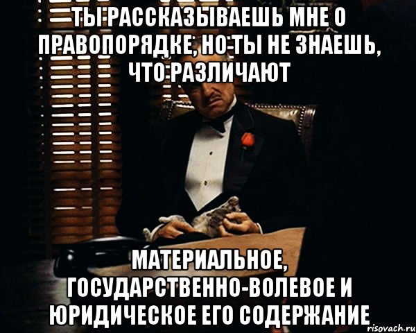 ты рассказываешь мне о правопорядке, но ты не знаешь, что различают материальное, государственно-волевое и юридическое его содержание, Мем Дон Вито Корлеоне