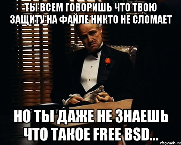 ты всем говоришь что твою защиту на файле никто не сломает но ты даже не знаешь что такое free bsd..., Мем Дон Вито Корлеоне