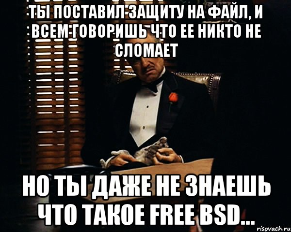 ты поставил защиту на файл, и всем говоришь что ее никто не сломает но ты даже не знаешь что такое free bsd..., Мем Дон Вито Корлеоне