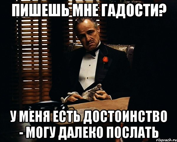 пишешь мне гадости? у меня есть достоинство - могу далеко послать, Мем Дон Вито Корлеоне