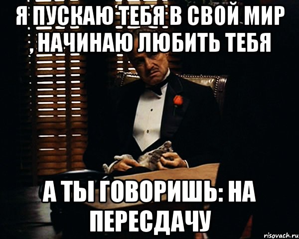 я пускаю тебя в свой мир , начинаю любить тебя а ты говоришь: на пересдачу, Мем Дон Вито Корлеоне