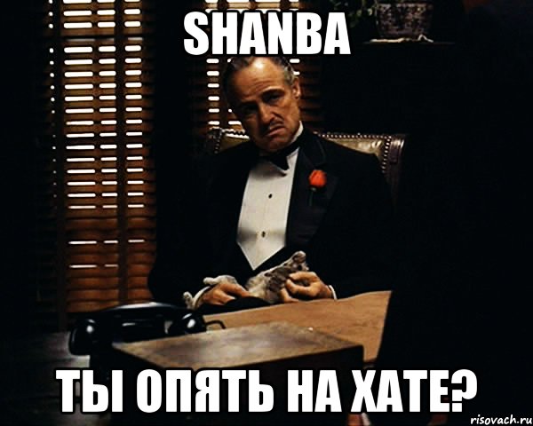 shanba ты опять на хате?, Мем Дон Вито Корлеоне