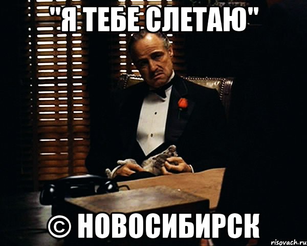 "я тебе слетаю" © новосибирск, Мем Дон Вито Корлеоне