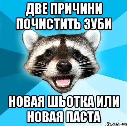 две причини почистить зуби новая шьотка или новая паста, Мем Енот-Каламбурист