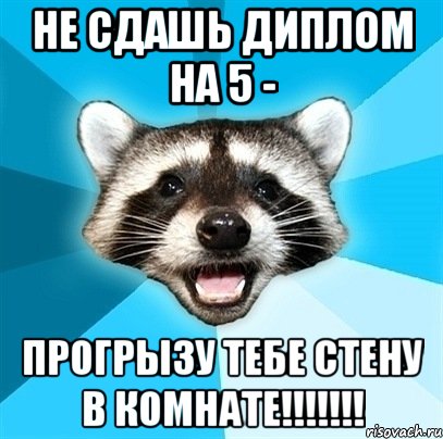 не сдашь диплом на 5 - прогрызу тебе стену в комнате!!!, Мем Енот-Каламбурист