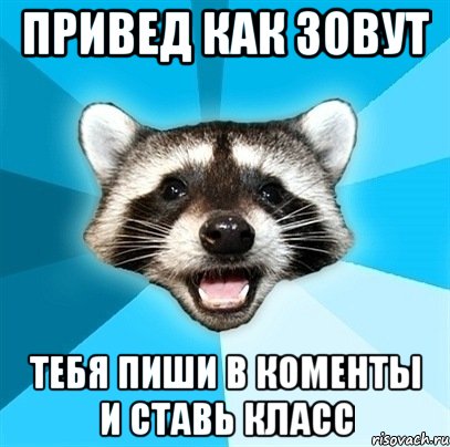 привед как зовут тебя пиши в коменты и ставь класс, Мем Енот-Каламбурист