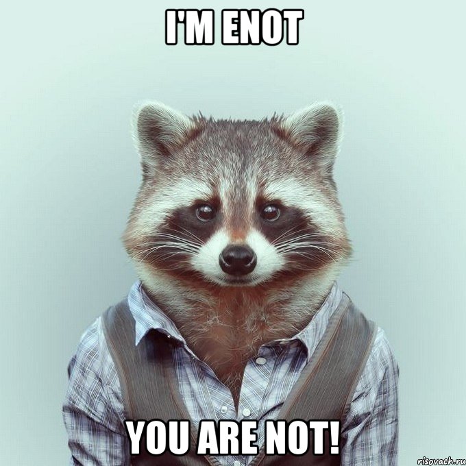 i'm enot you are not!