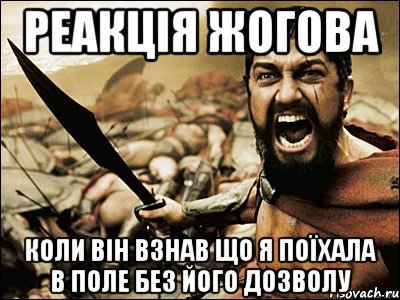 реакція жогова коли він взнав що я поїхала в поле без його дозволу, Мем Это Спарта