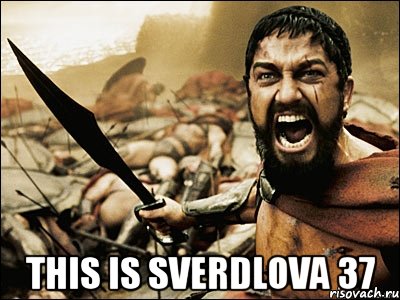  this is sverdlova 37, Мем Это Спарта