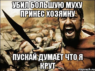 убил большую муху принес хозяину пускай думает что я крут, Мем Это Спарта