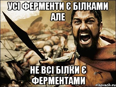 усі ферменти є білками але не всі білки є ферментами, Мем Это Спарта