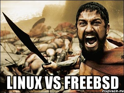  linux vs freebsd, Мем Это Спарта