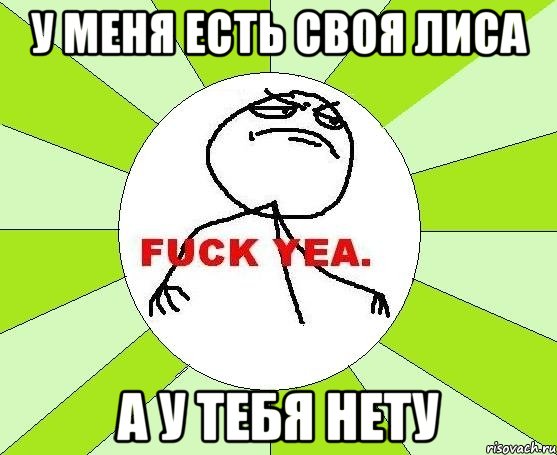 у меня есть своя лиса а у тебя нету, Мем фак е