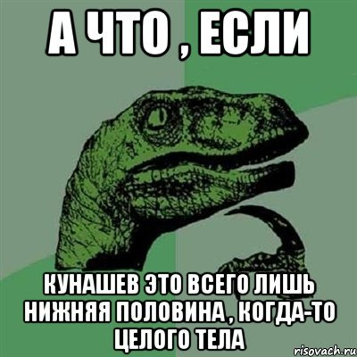 а что , если кунашев это всего лишь нижняя половина , когда-то целого тела, Мем Филосораптор