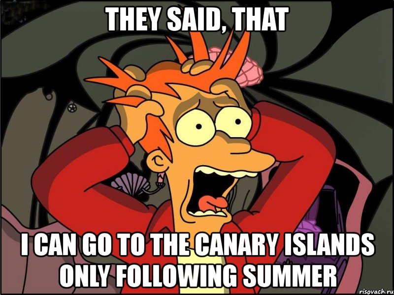 they said, that i can go to the canary islands only following summer, Мем Фрай в панике