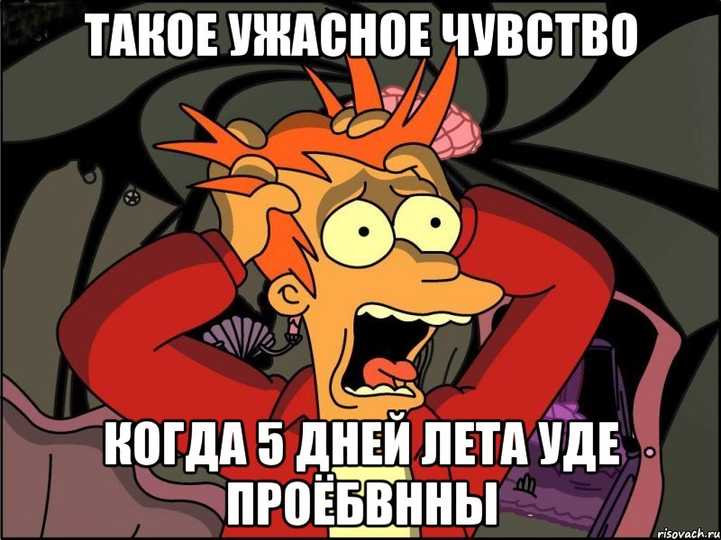 такое ужасное чувство когда 5 дней лета уде проёбвнны, Мем Фрай в панике