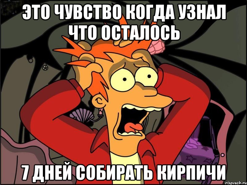 это чувство когда узнал что осталось 7 дней собирать кирпичи, Мем Фрай в панике