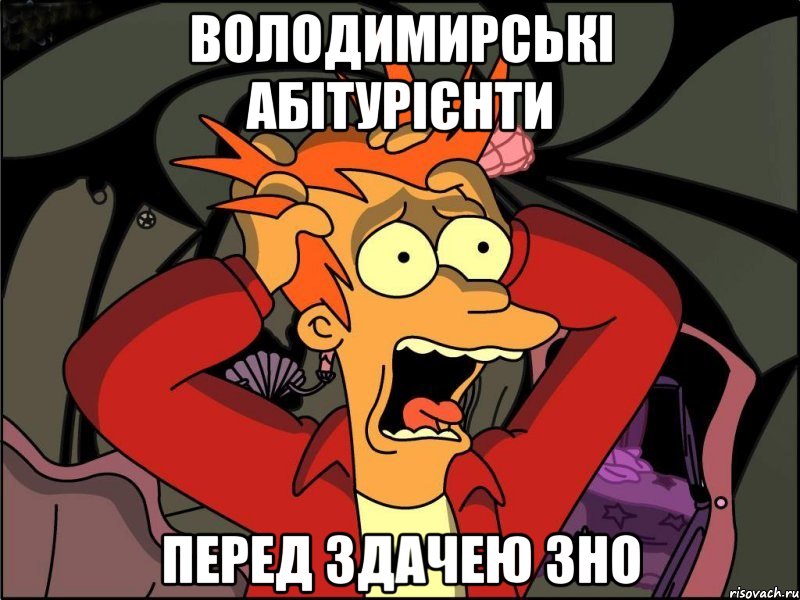 володимирські абітурієнти перед здачею зно, Мем Фрай в панике