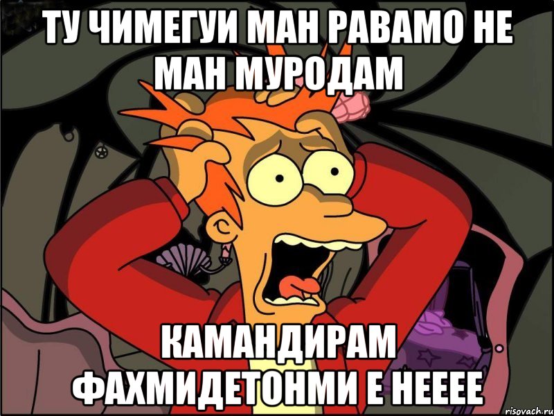 ту чимегуи ман равамо не ман муродам камандирам фахмидетонми е нееее, Мем Фрай в панике