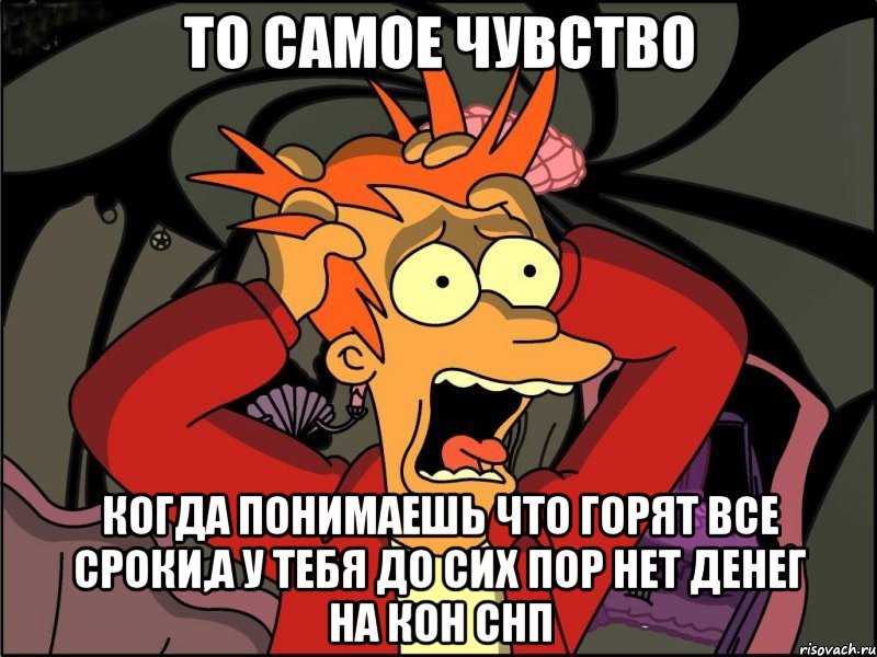 то самое чувство когда понимаешь что горят все сроки,а у тебя до сих пор нет денег на кон снп, Мем Фрай в панике