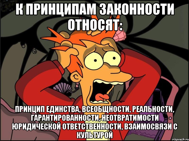 к принципам законности относят: принцип единства, всеобщности, реальности, гарантированности, неотвратимости юридической ответственности, взаимосвязи с культурой, Мем Фрай в панике