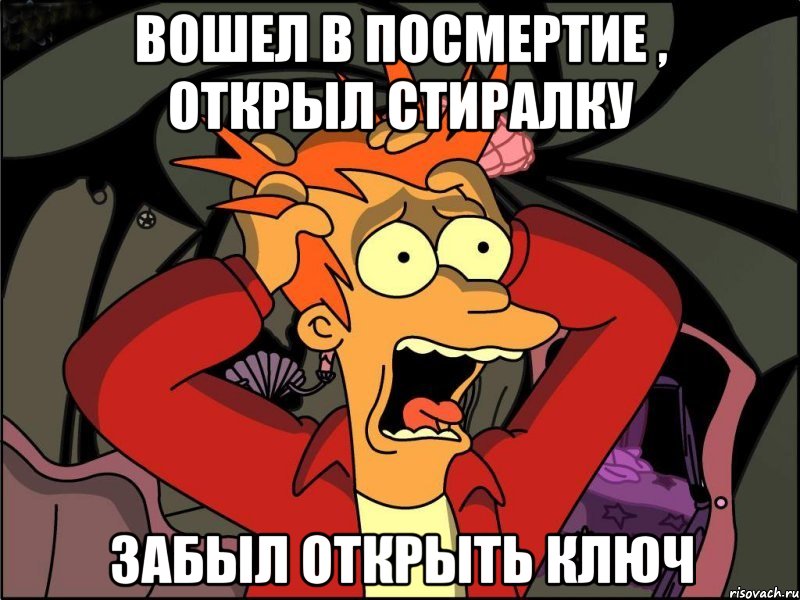 вошел в посмертие , открыл стиралку забыл открыть ключ, Мем Фрай в панике