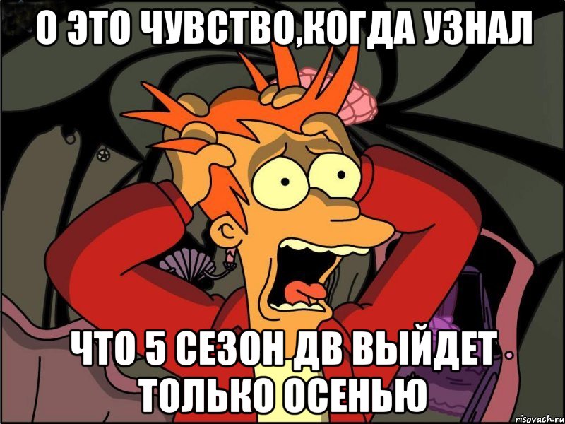 о это чувство,когда узнал что 5 сезон дв выйдет только осенью, Мем Фрай в панике