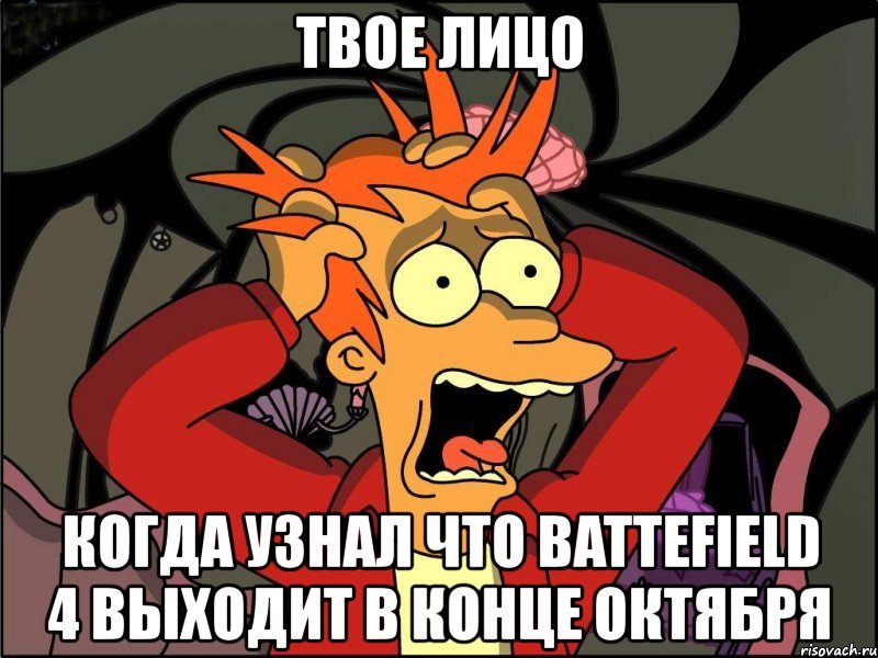 твое лицо когда узнал что battefield 4 выходит в конце октября, Мем Фрай в панике