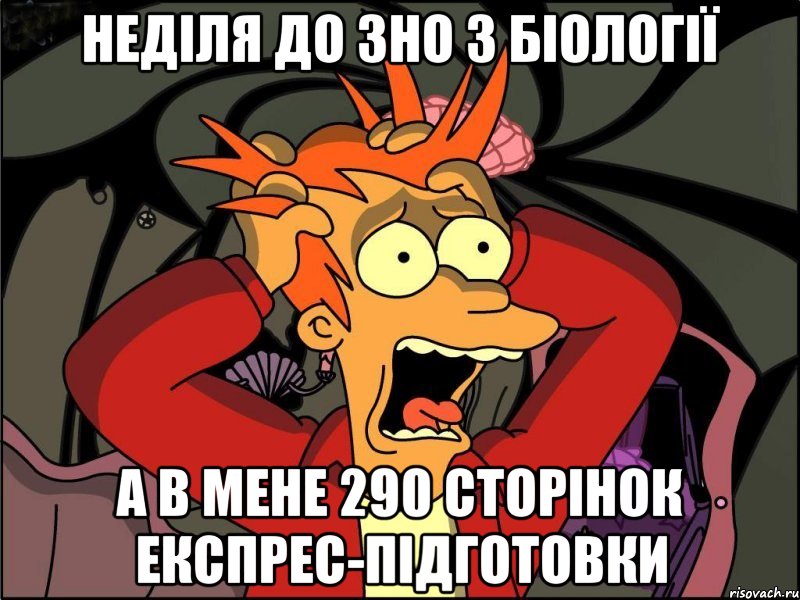 неділя до зно з біології а в мене 290 сторінок експрес-підготовки, Мем Фрай в панике