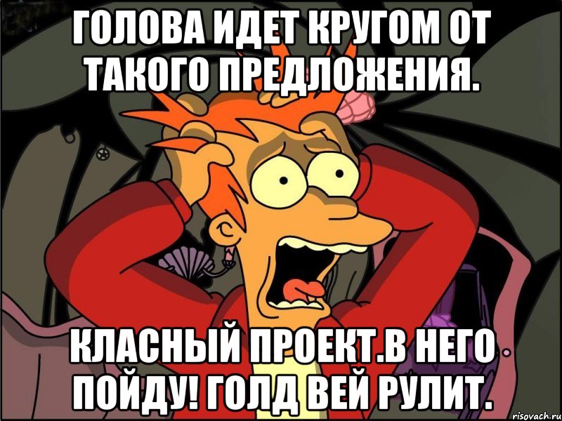 голова идет кругом от такого предложения. класный проект.в него пойду! голд вей рулит., Мем Фрай в панике