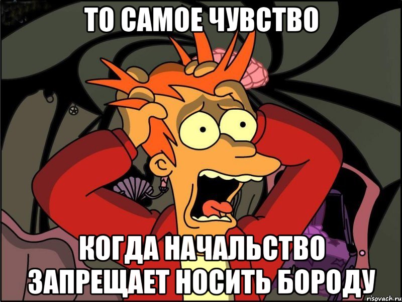 то самое чувство когда начальство запрещает носить бороду, Мем Фрай в панике