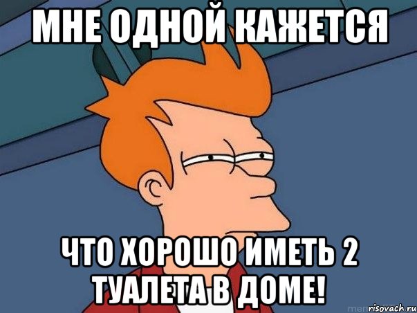 мне одной кажется что хорошо иметь 2 туалета в доме!, Мем  Фрай (мне кажется или)