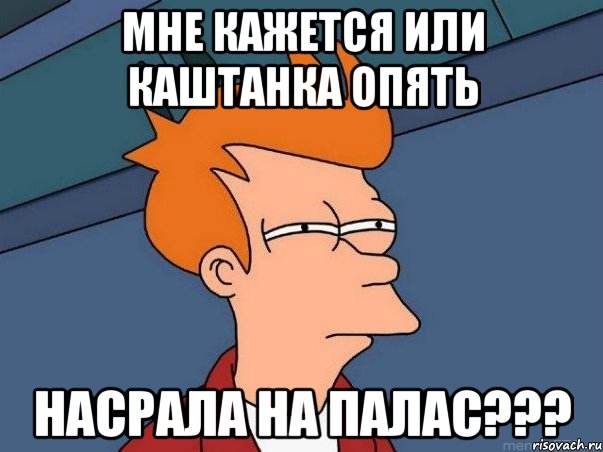 мне кажется или каштанка опять насрала на палас???, Мем  Фрай (мне кажется или)